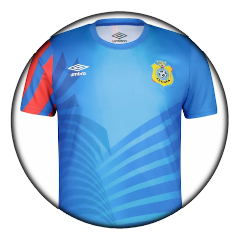 foto de equipo para RD Congo